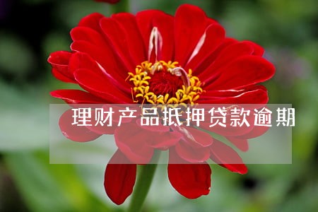 理财产品抵押贷款逾期 理财产品抵押贷款逾期