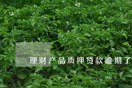 理财产品质押贷款逾期了怎么办 理财产品质押贷款逾期了怎么办
