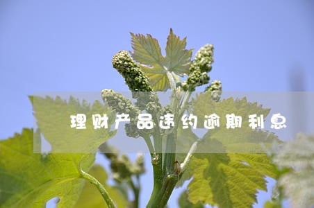 理财产品违约逾期利息 理财产品违约逾期利息