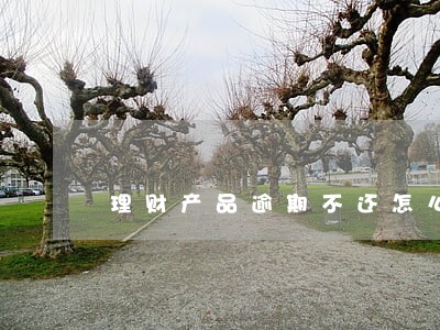 理财产品逾期不还怎么报案 理财产品逾期不还怎么报案