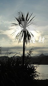 理财产品逾期几天会上征信吗 理财产品逾期几天会上征信吗