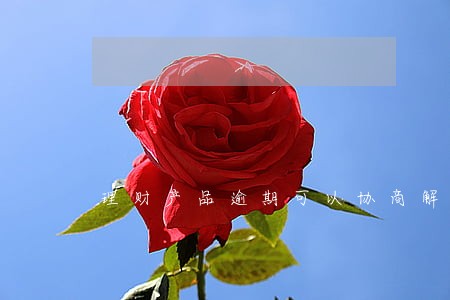 理财产品逾期可以协商解决吗 理财产品逾期可以协商解决吗