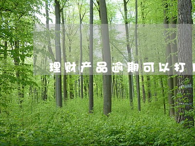 理财产品逾期可以打110吗 理财产品逾期可以打110吗