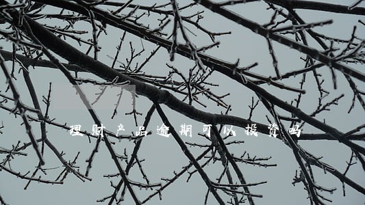 理财产品逾期可以投资吗 理财产品逾期可以投资吗