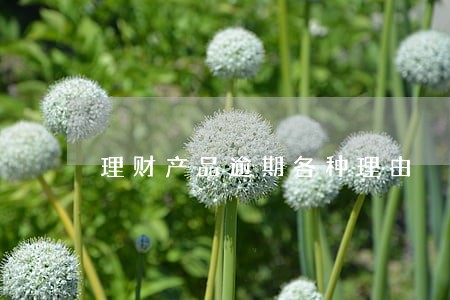 理财产品逾期各种理由 理财产品逾期各种理由