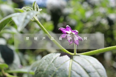 理财产品逾期案例 理财产品逾期案例