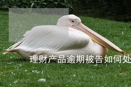 理财产品逾期被告如何处理