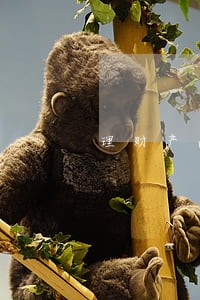 理财产品遇到了逾期