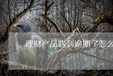 理财产品遇到逾期了怎么办 理财产品遇到逾期了怎么办
