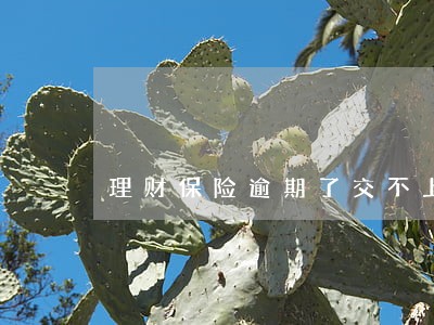 理财保险逾期了交不上可以退吗 理财保险逾期了交不上可以退吗