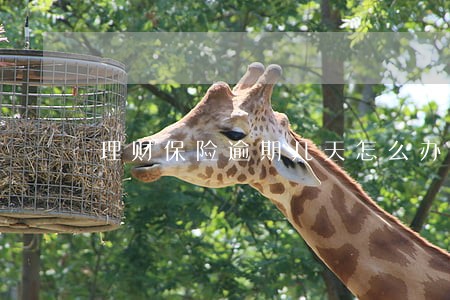 理财保险逾期几天怎么办 理财保险逾期几天怎么办
