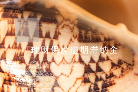 理财保险逾期滞纳金 理财保险逾期滞纳金