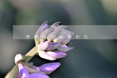 理财保险逾期短信 理财保险逾期短信