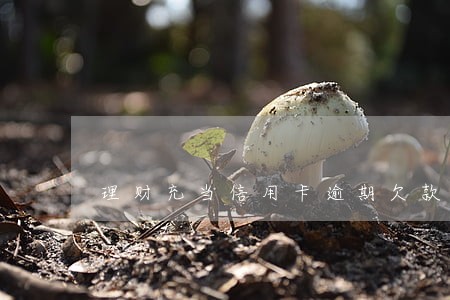 理财充当信用卡逾期欠款吗 理财充当信用卡逾期欠款吗