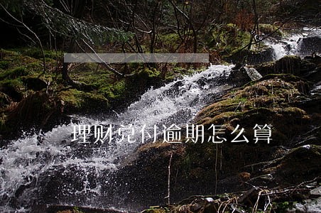 理财兑付逾期怎么算