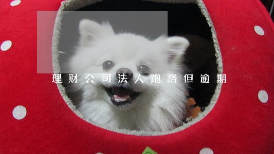 理财公司法人跑路但逾期 理财公司法人跑路但逾期