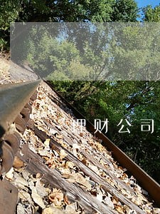 理财公司说逾期