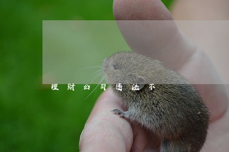 理财公司违法不 理财公司违法不