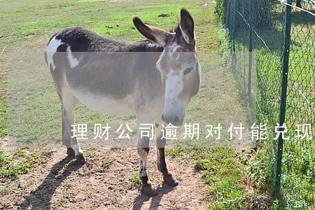 理财公司逾期对付能兑现么 理财公司逾期对付能兑现么