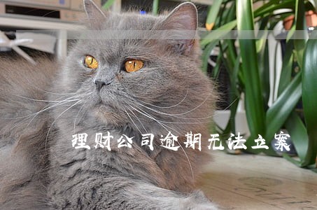 理财公司逾期无法立案 理财公司逾期无法立案