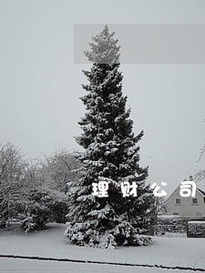 理财公司逾期离职与在职的区别