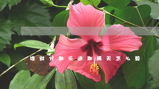 理财分期乐逾期两天怎么算 理财分期乐逾期两天怎么算