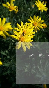 理财卡逾期了多久会上征信 理财卡逾期了多久会上征信