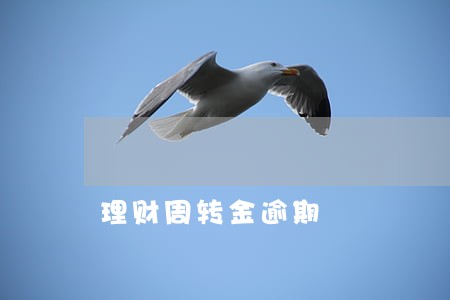 理财周转金逾期