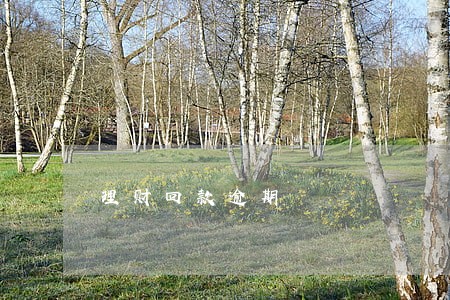 理财回款逾期 理财回款逾期