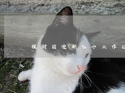 理财团逾期七个工作日内还款 理财团逾期七个工作日内还款
