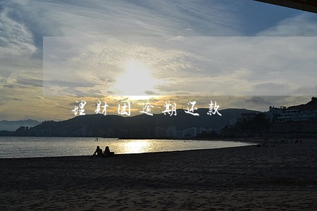 理财团逾期还款 理财团逾期还款