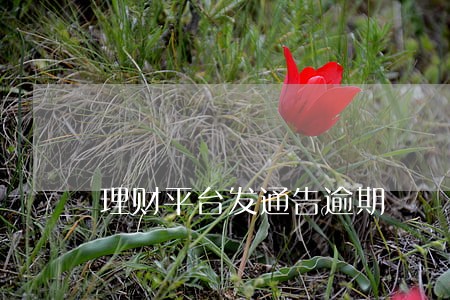 理财平台发通告逾期 理财平台发通告逾期