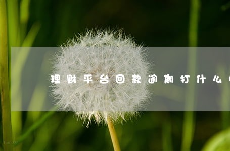 理财平台回款逾期打什么电话咨询 理财平台回款逾期打什么电话咨询