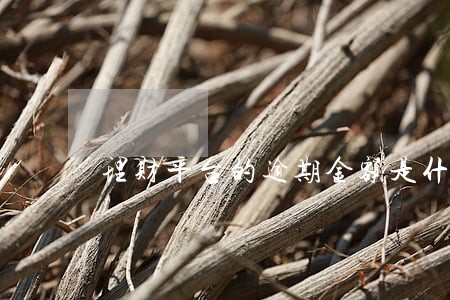 理财平台的逾期金额是什么