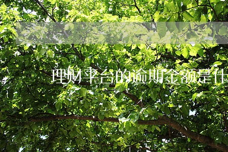 理财平台的逾期金额是什么意思 理财平台的逾期金额是什么意思