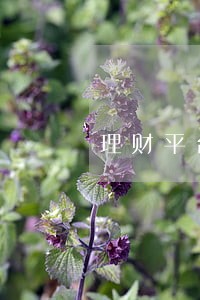 理财平台还款逾期 理财平台还款逾期