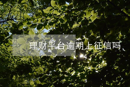 理财平台逾期上征信吗 理财平台逾期上征信吗