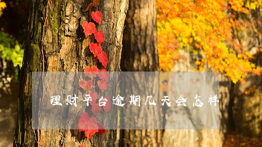 理财平台逾期几天会怎样 理财平台逾期几天会怎样