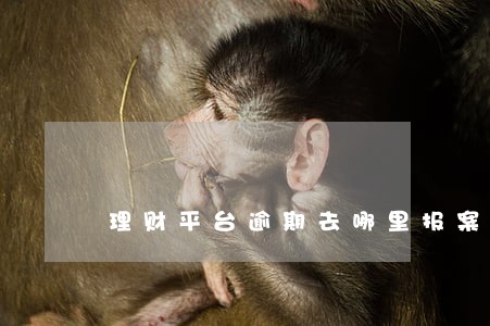 理财平台逾期去哪里报案