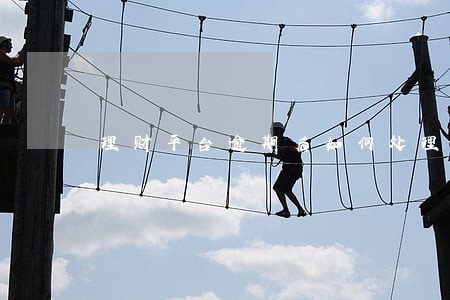 理财平台逾期后如何处理 理财平台逾期后如何处理