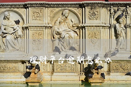 理财平台逾期怎么办 理财平台逾期怎么办