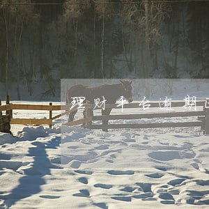 理财平台逾期正常吗 理财平台逾期正常吗
