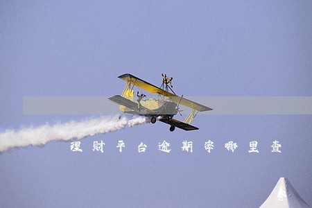 理财平台逾期率哪里查 理财平台逾期率哪里查