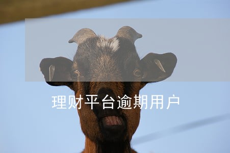 理财平台逾期用户 理财平台逾期用户