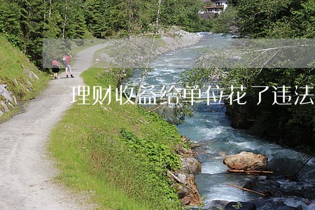 理财收益给单位花了违法吗