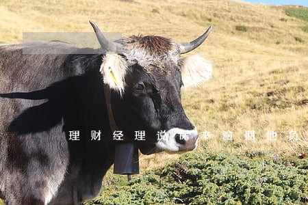 理财经理说保本逾期他负责吗