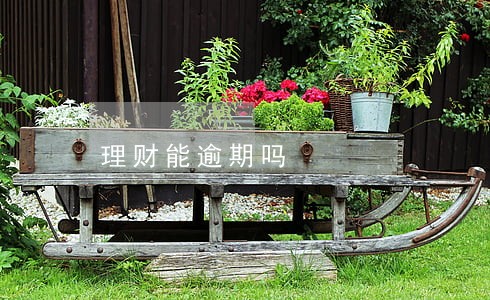 理财能逾期吗 理财能逾期吗