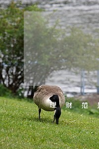 理财范是不是大面积逾期