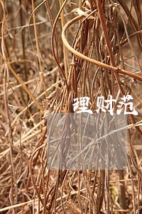 理财范消费金融逾期