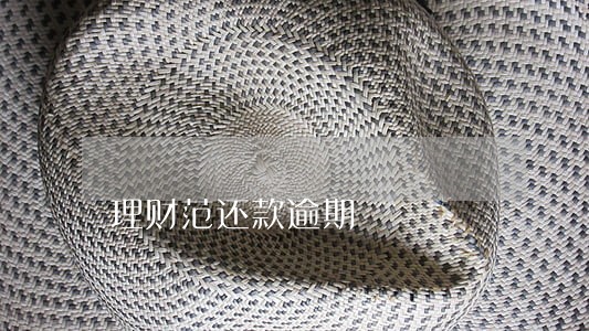 理财范还款逾期 理财范还款逾期